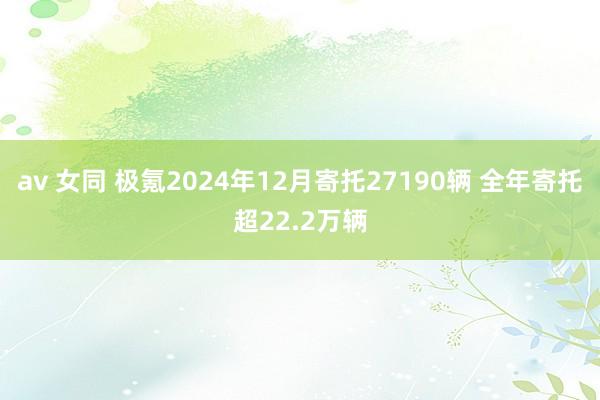 av 女同 极氪2024年12月寄托27190辆 全年寄托超22.2万辆