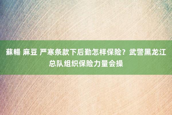 蘇暢 麻豆 严寒条款下后勤怎样保险？武警黑龙江总队组织保险力量会操