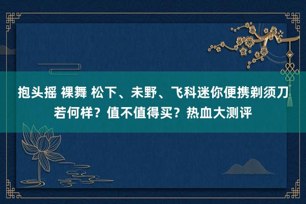 抱头摇 裸舞 松下、未野、飞科迷你便携剃须刀若何样？值不值得买？热血大测评