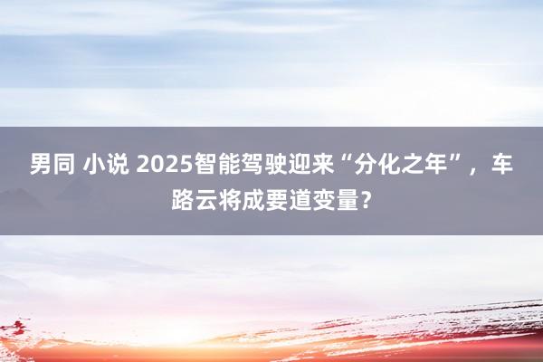 男同 小说 2025智能驾驶迎来“分化之年”，车路云将成要道变量？