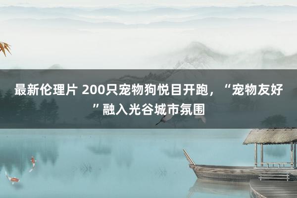 最新伦理片 200只宠物狗悦目开跑，“宠物友好”融入光谷城市氛围