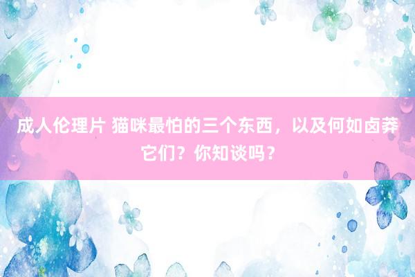 成人伦理片 猫咪最怕的三个东西，以及何如卤莽它们？你知谈吗？