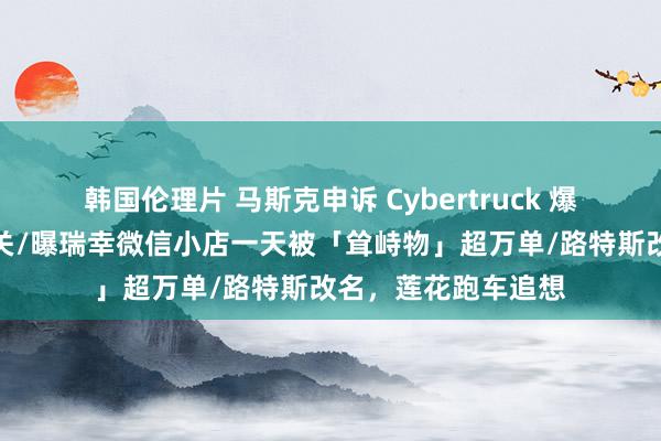 韩国伦理片 马斯克申诉 Cybertruck 爆炸，与车辆自身无关/曝瑞幸微信小店一天被「耸峙物」超万单/路特斯改名，莲花跑车追想