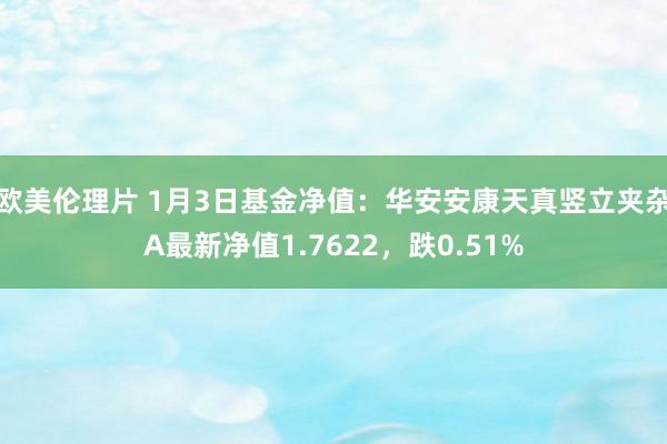 欧美伦理片 1月3日基金净值：华安安康天真竖立夹杂A最新净值1.7622，跌0.51%