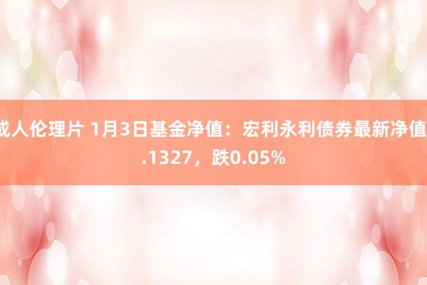 成人伦理片 1月3日基金净值：宏利永利债券最新净值1.1327，跌0.05%