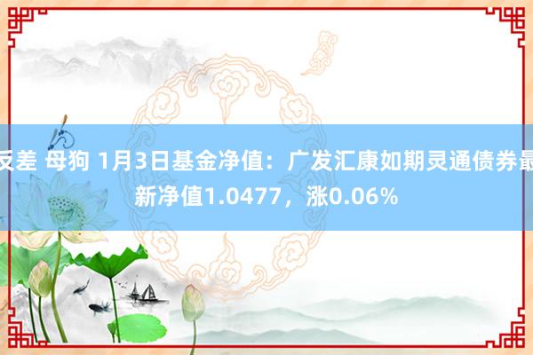 反差 母狗 1月3日基金净值：广发汇康如期灵通债券最新净值1.0477，涨0.06%