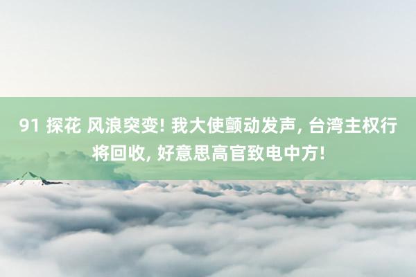 91 探花 风浪突变! 我大使颤动发声， 台湾主权行将回收， 好意思高官致电中方!