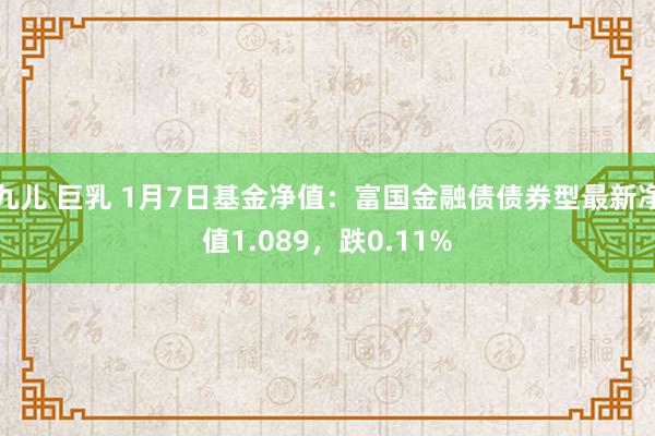 九儿 巨乳 1月7日基金净值：富国金融债债券型最新净值1.089，跌0.11%