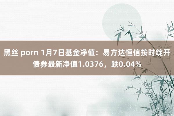 黑丝 porn 1月7日基金净值：易方达恒信按时绽开债券最新净值1.0376，跌0.04%