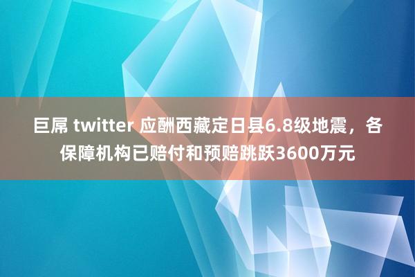 巨屌 twitter 应酬西藏定日县6.8级地震，各保障机构已赔付和预赔跳跃3600万元