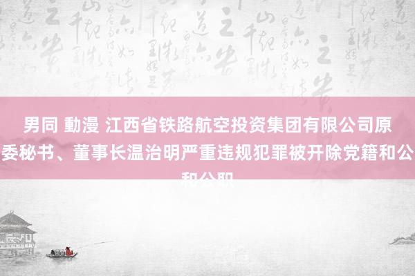 男同 動漫 江西省铁路航空投资集团有限公司原党委秘书、董事长温治明严重违规犯罪被开除党籍和公职