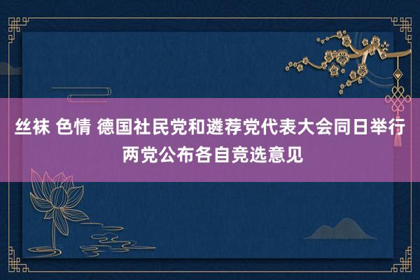 丝袜 色情 德国社民党和遴荐党代表大会同日举行 两党公布各自竞选意见