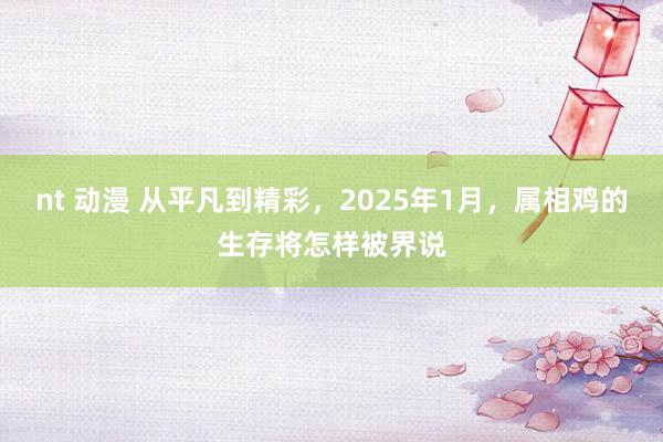 nt 动漫 从平凡到精彩，2025年1月，属相鸡的生存将怎样被界说