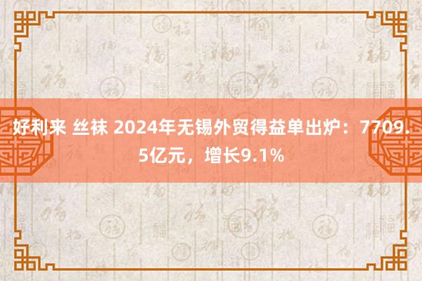 好利来 丝袜 2024年无锡外贸得益单出炉：7709.5亿元，增长9.1%